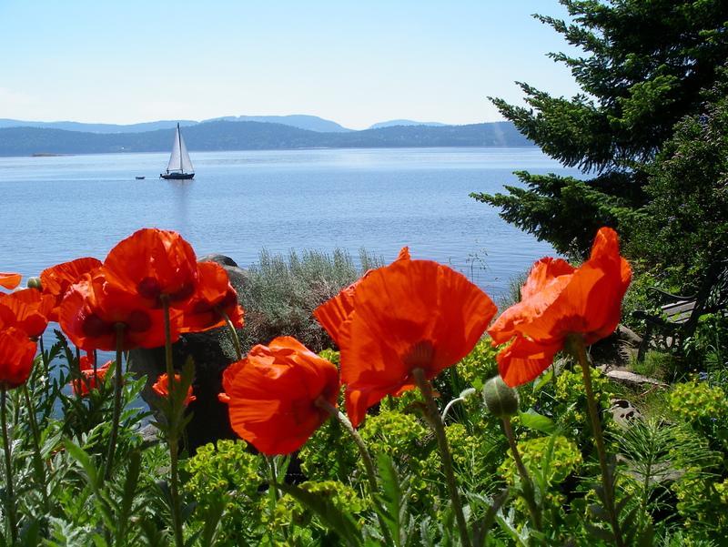 Serenity By The Sea Retreats Montague Harbour Dış mekan fotoğraf